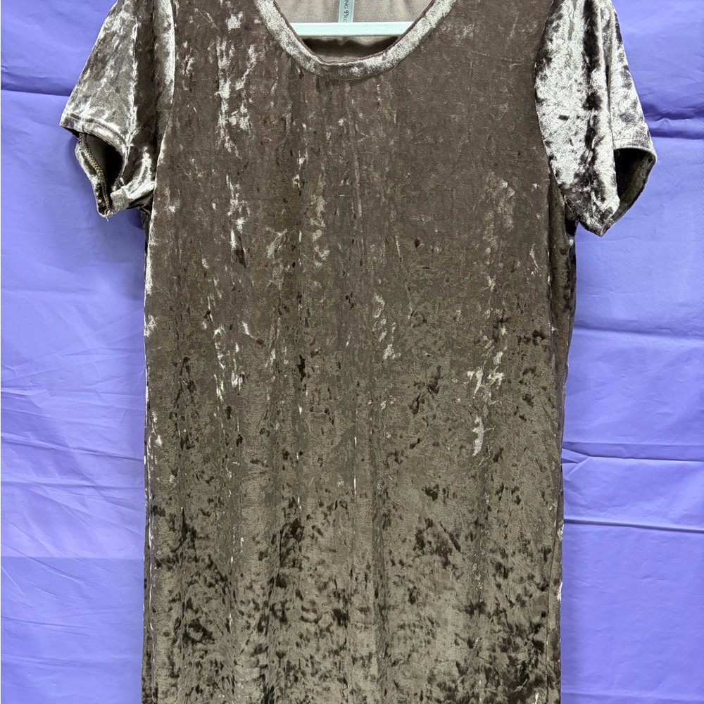 Acting Pro Crushed Velvet Mini Dress in Brown